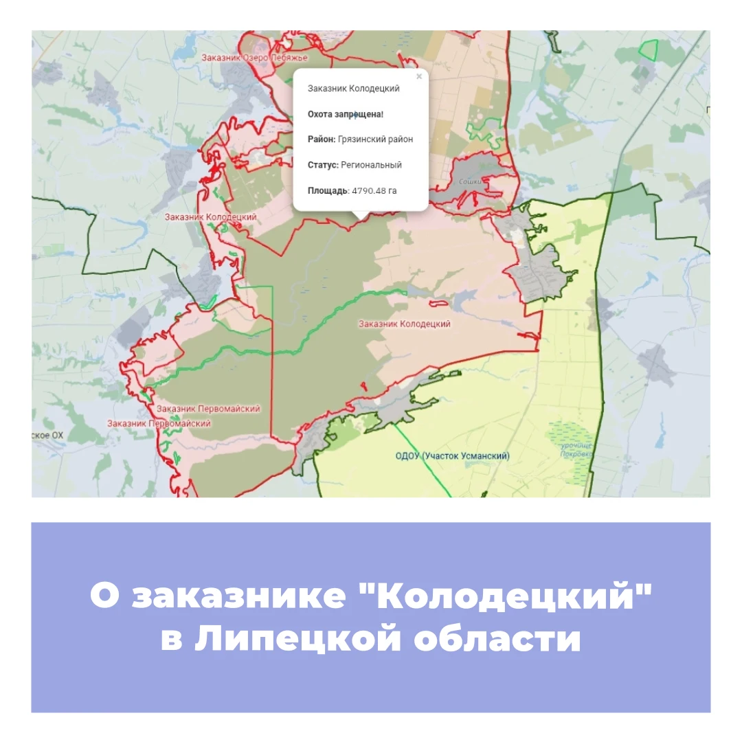 О заказнике «Колодецкий» в Липецкой области