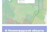 В Ленинградской области создан новый заказник