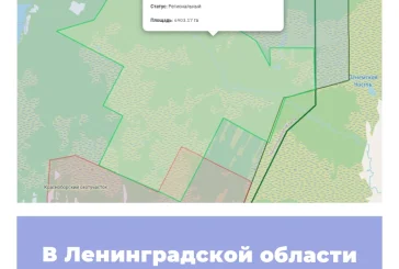 В Ленинградской области создан новый заказник