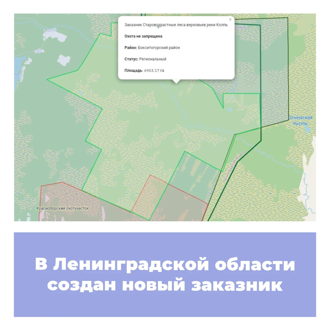 В Ленинградской области создан новый заказник