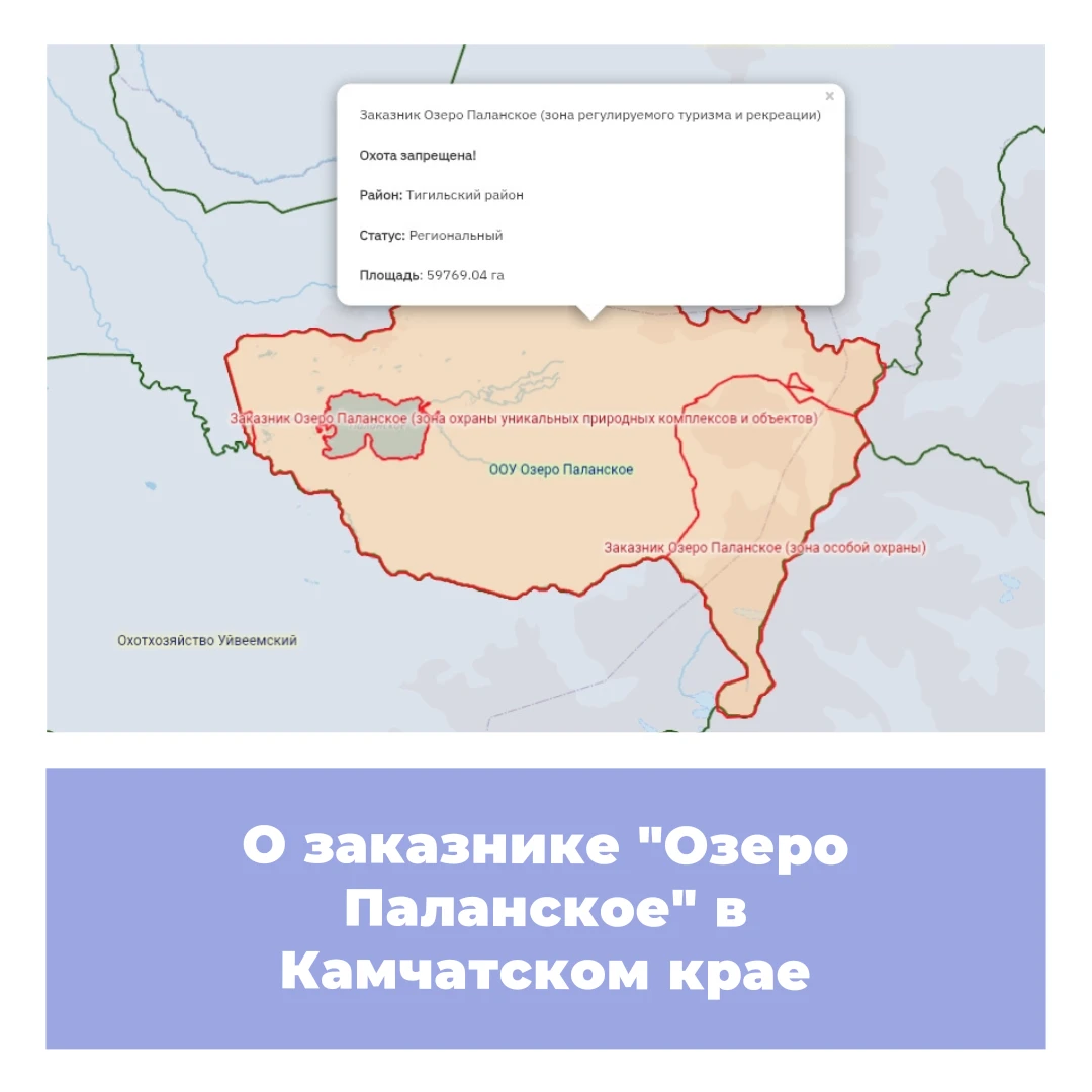 О заказнике «Озеро Паланское» в Камчатском крае