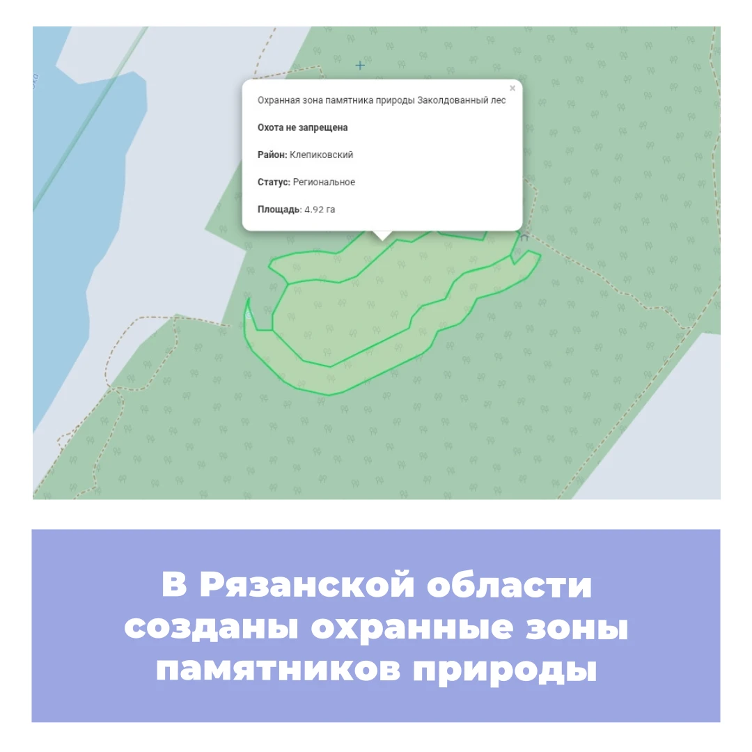 В Рязанской области созданы охранные зоны памятников поироды