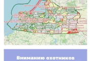 Вниманию охотников Калининградской области!