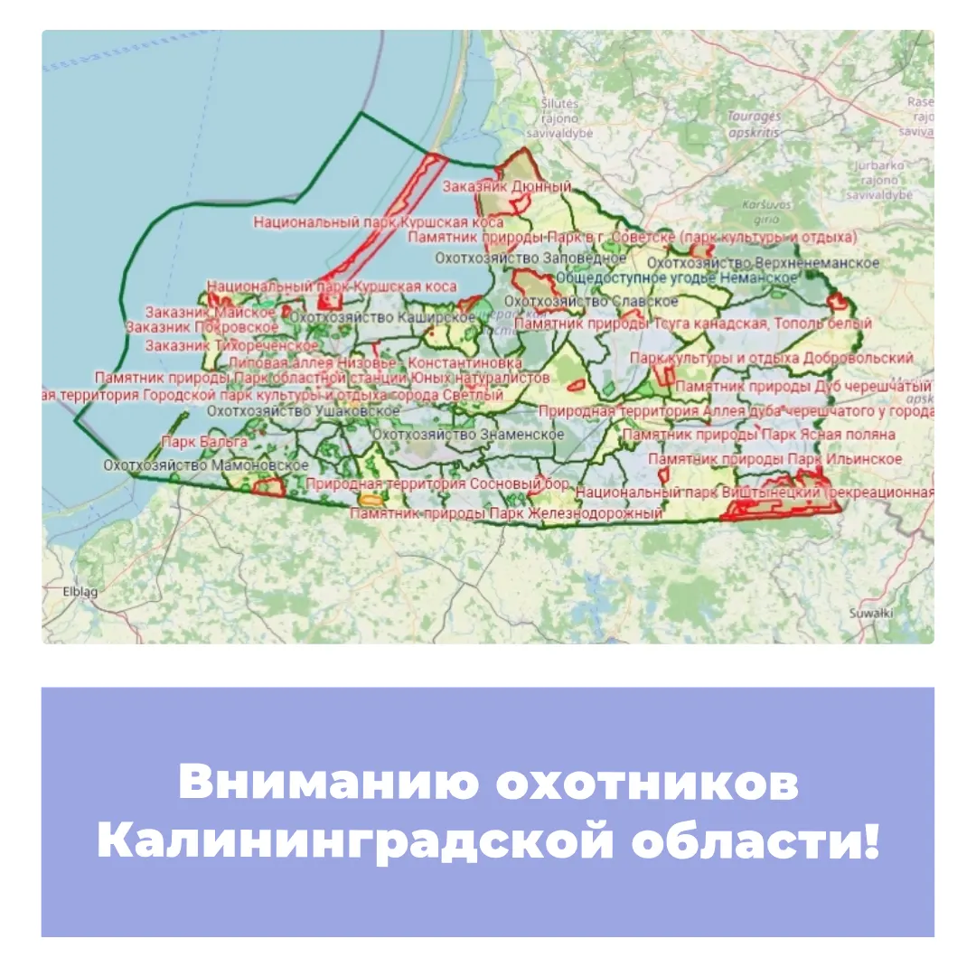 Вниманию охотников Калининградской области!