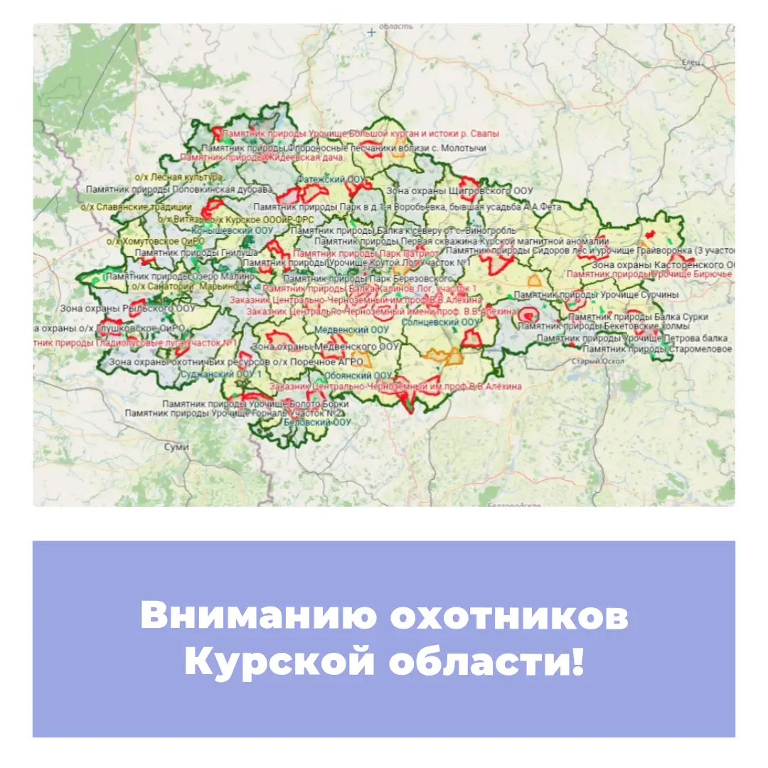Вниманию охотников Курской области!