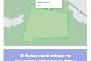 В Брянской области созданы охранные зоны памятников природы