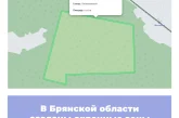 В Брянской области созданы охранные зоны памятников природы