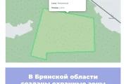 В Брянской области созданы охранные зоны памятников природы
