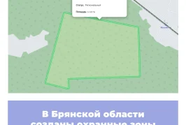 В Брянской области созданы охранные зоны памятников природы