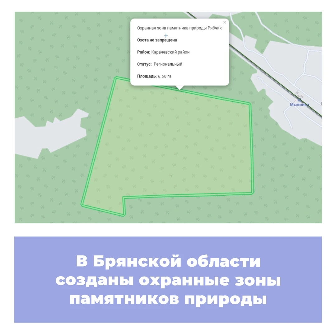 В Брянской области созданы охранные зоны памятников природы