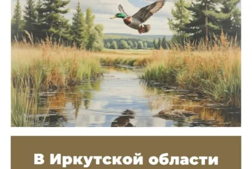 В Иркутской области изменили сроки охоты
