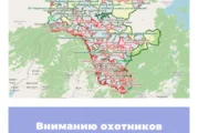 Вниманию охотников Амурской области!