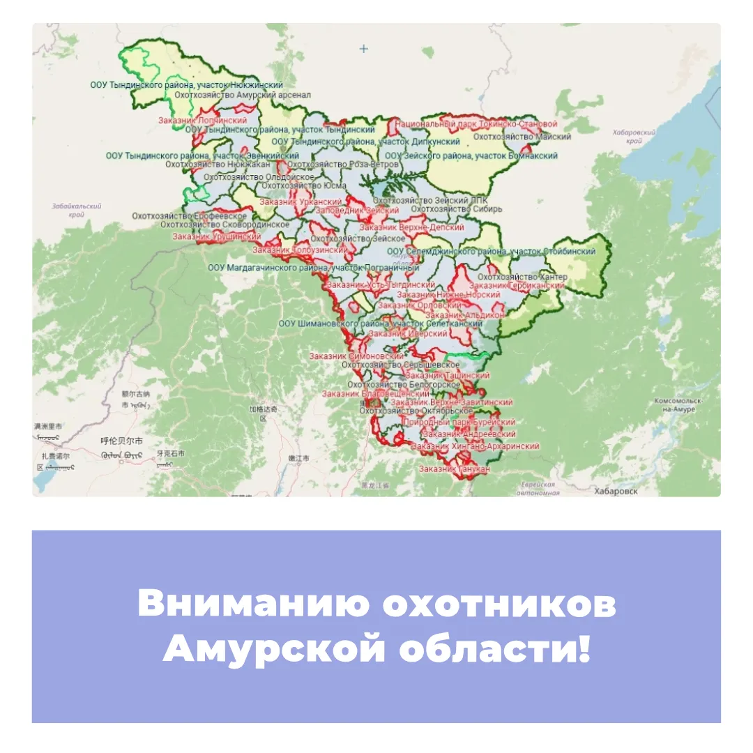 Вниманию охотников Амурской области!