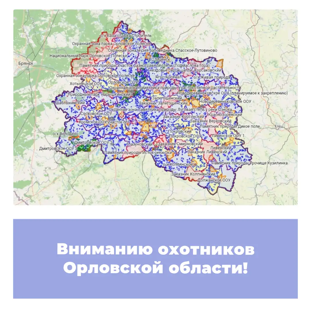 Вниманию охотников Орловской области!
