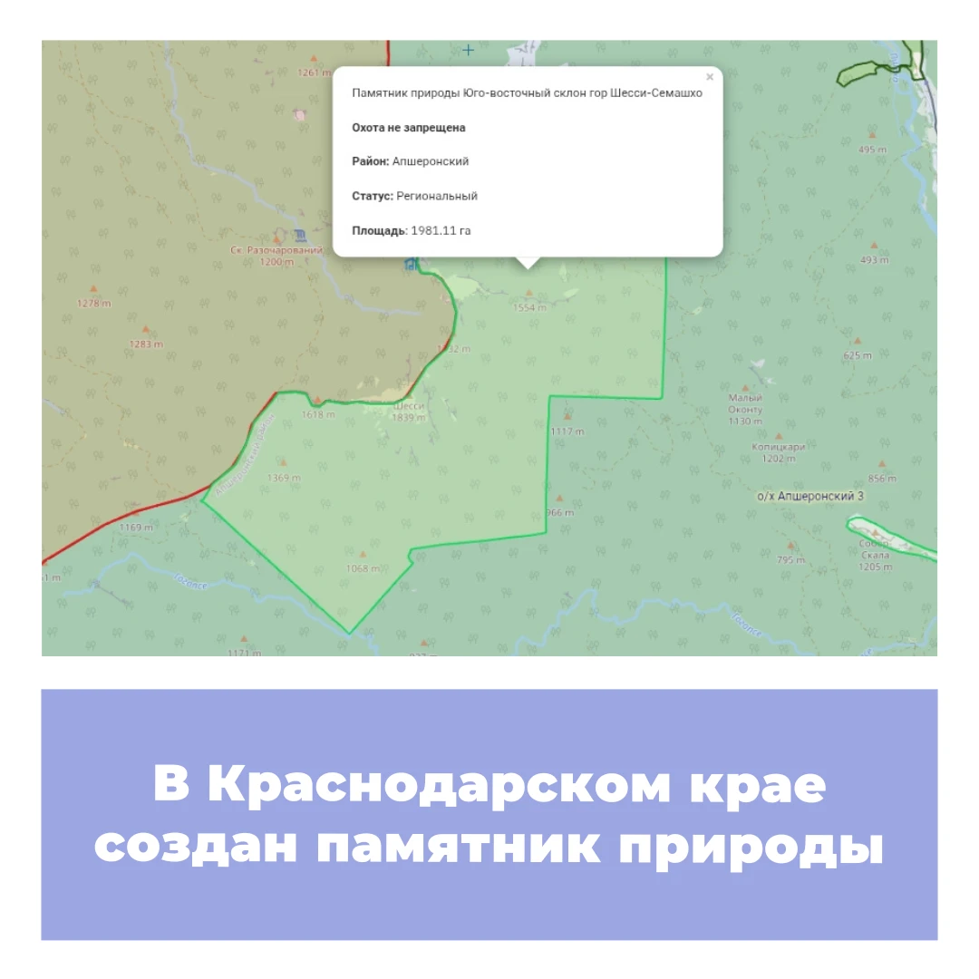 В Краснодарском крае создан памятник природы