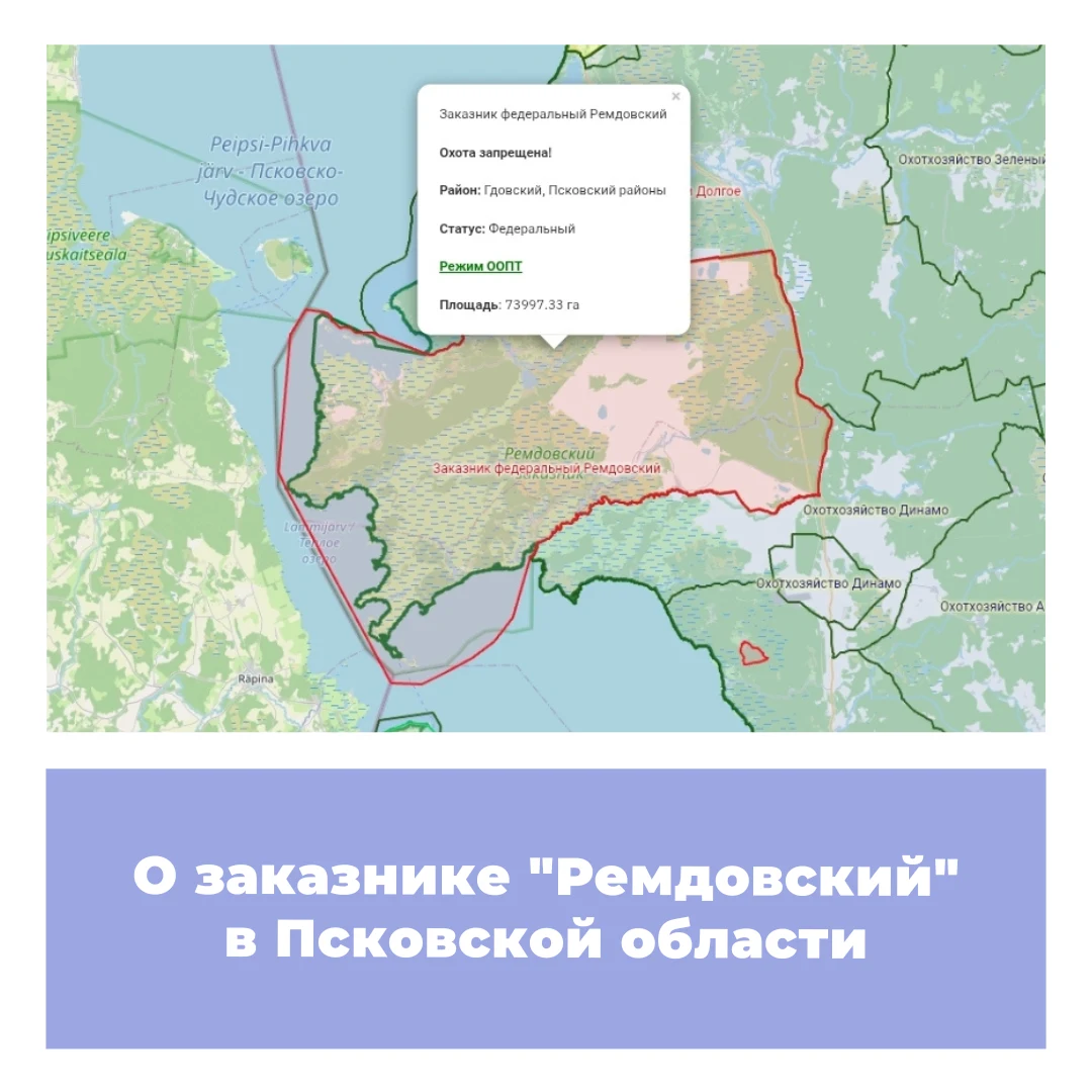 О заказнике «Ремдовский» в Псковской области