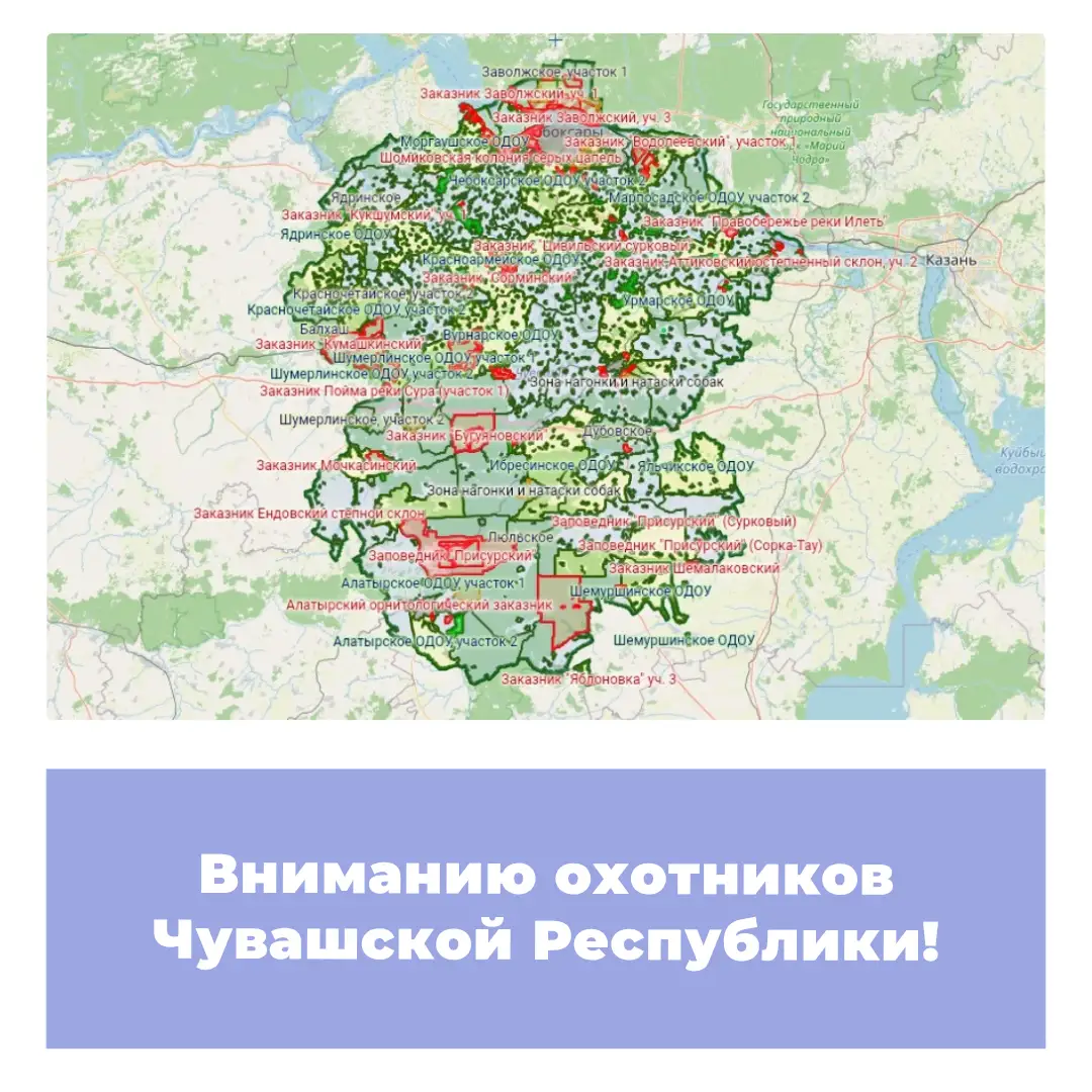 Вниманию охотников Чувашской Республики!