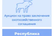 Торги на право заключения охотхозяйственного соглашения в Республике Мордовия