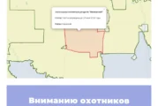 Вниманию охотников Саратовской области!