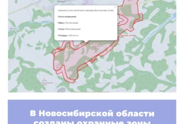 В Новосибирской области созданы охранные зоны памятников природы