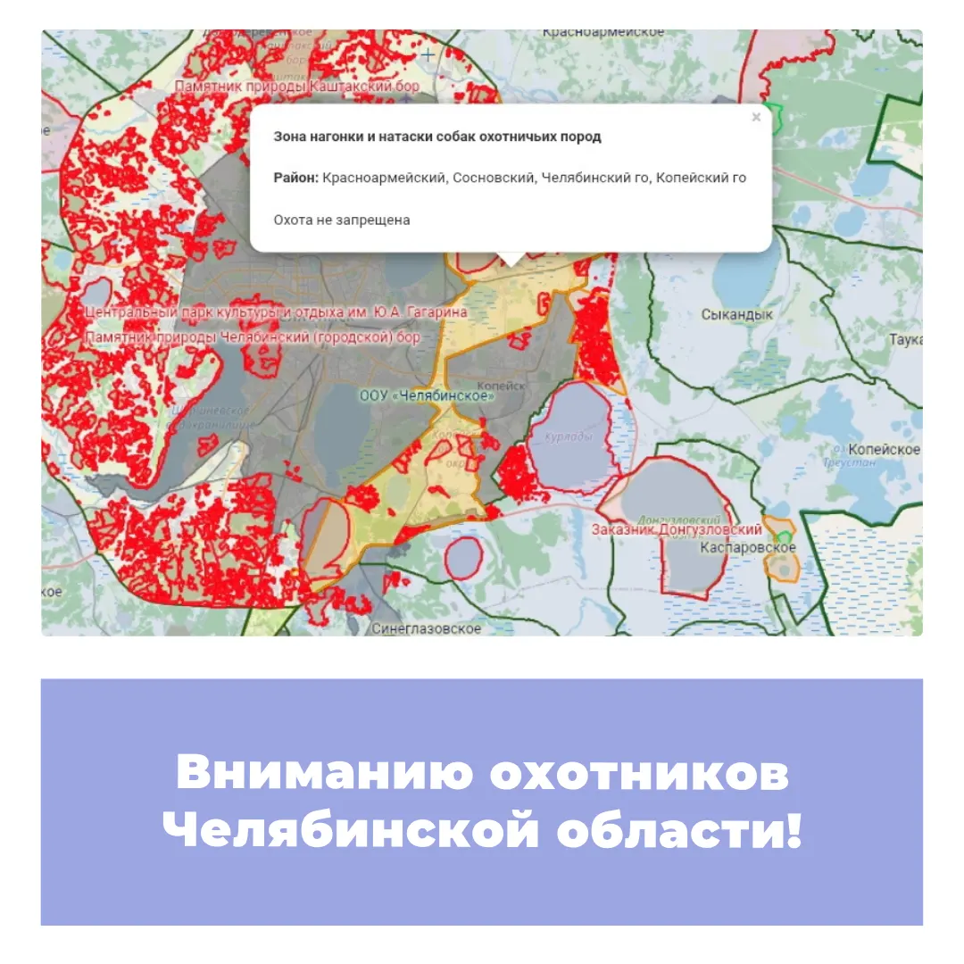 Вниманию охотников Челябинской области!