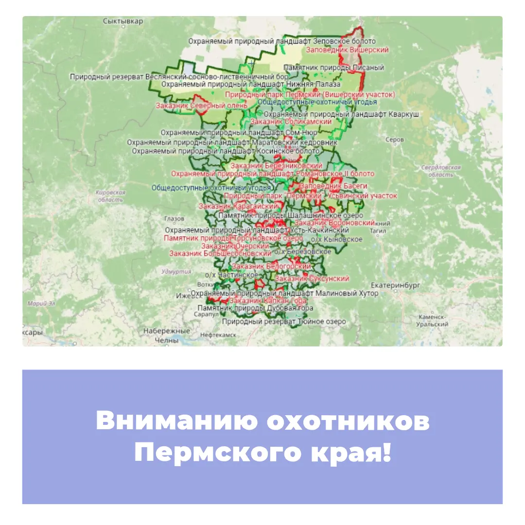 Вниманию охотников Пермского края!