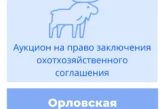 Торги на право заключения охотхозяйственного соглашения в Орловской области