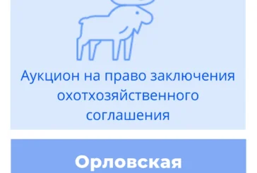 Торги на право заключения охотхозяйственного соглашения в Орловской области