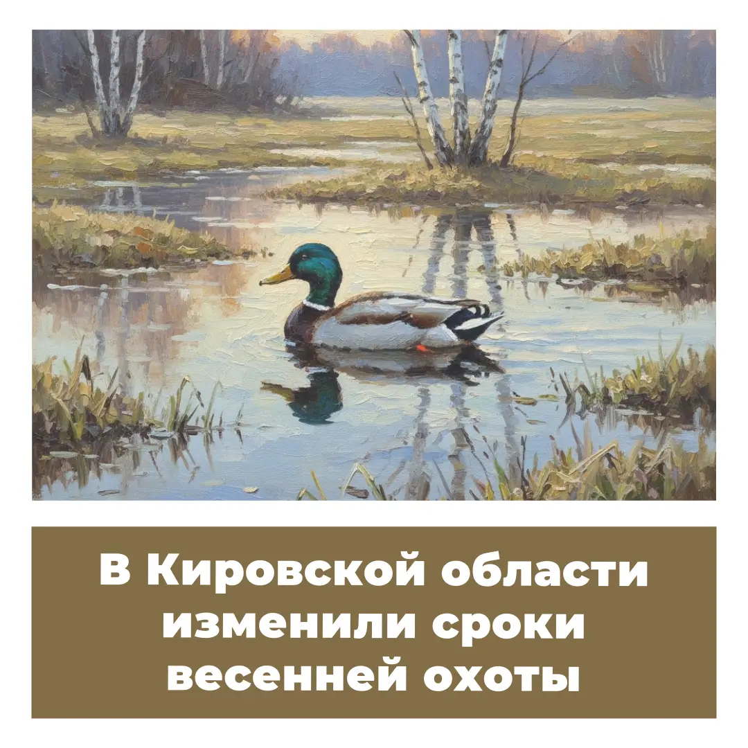 В Кировской области изменили сроки весенней охоты